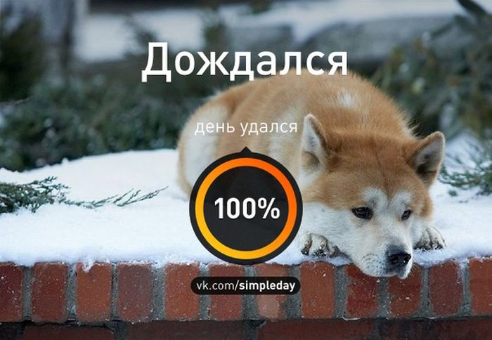 Когда день удался... Часть 2 (20 картинок)