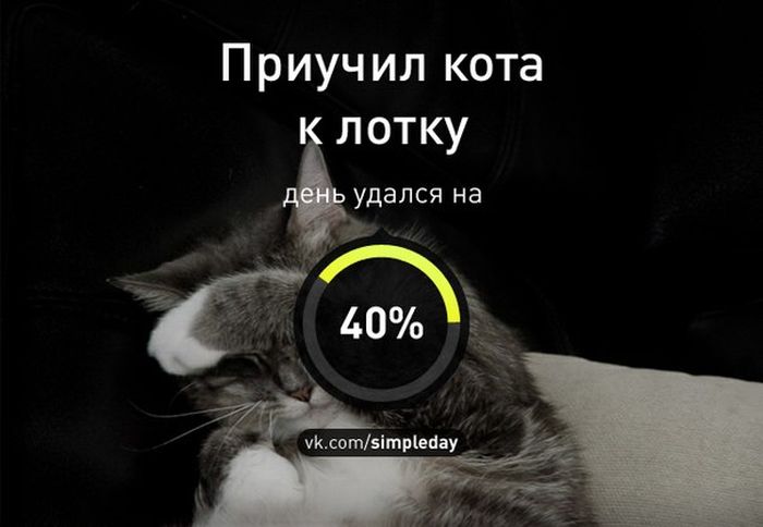 Когда день удался... Часть 2 (20 картинок)