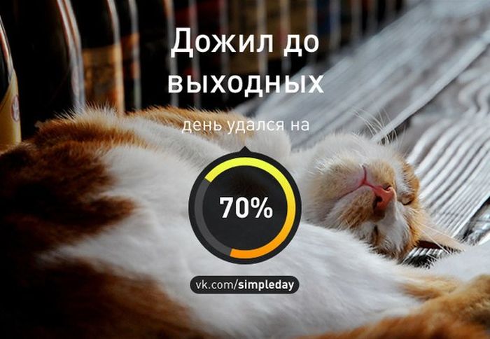 Когда день удался... Часть 2 (20 картинок)