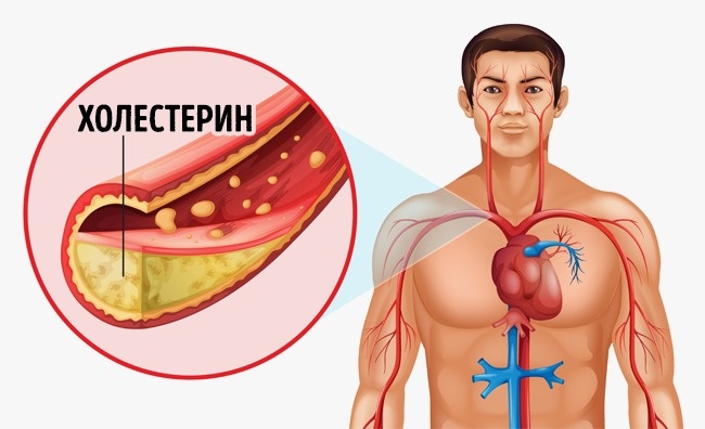10 свойств банана, о которых вы, скорее всего, не знали 10 свойств банана, о которых вы, скорее всего, не знали
