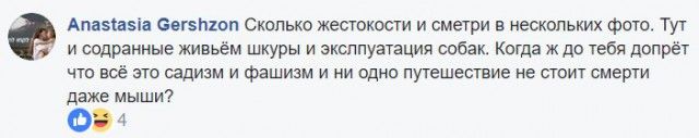 Блогер ответил на критику зоозащитницы Блогер ответил на критику зоозащитницы