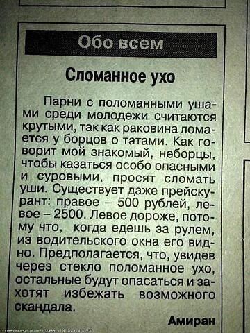 Прикольные картинки
