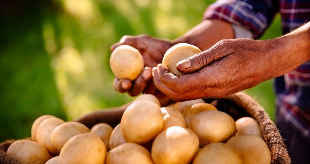 Занимательные народные легенды о наших привычных продуктах питания Занимательные народные легенды о наших привычных продуктах питания