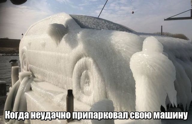 Прикольные картинки