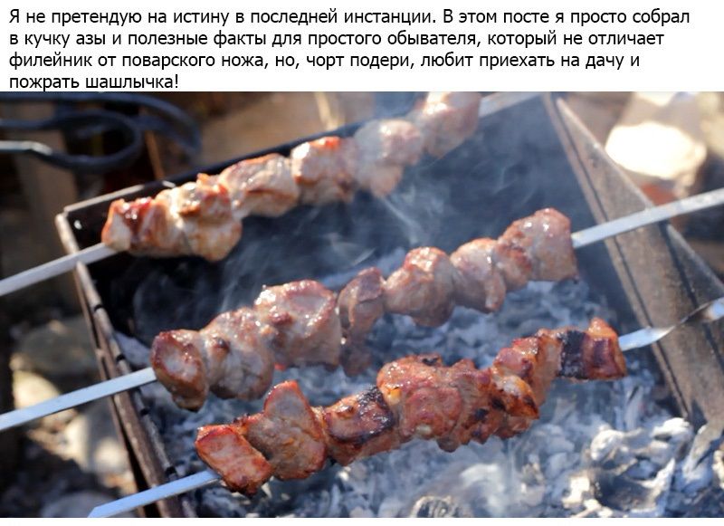 Как правильно готовить шашлык (2 фото)