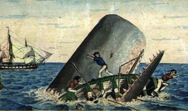 Выжить любой ценой (13 фото) Выжить любой ценой (13 фото)