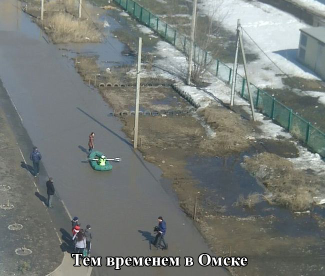 Порция картинок