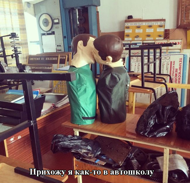 Порция картинок