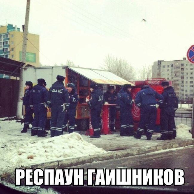 Порция картинок