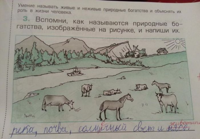 Порция картинок