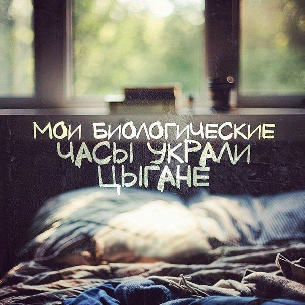 Порция картинок