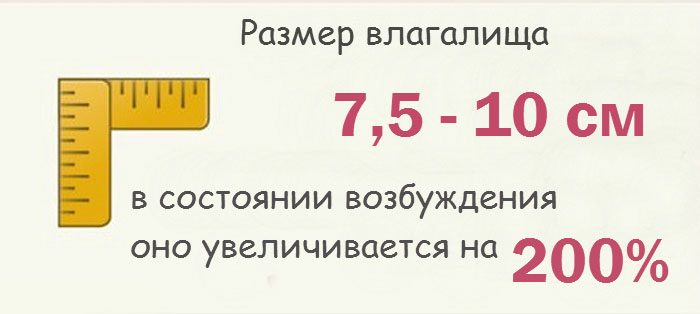 Интересные факты о женской интимной зоне Интересные факты о женской интимной зоне