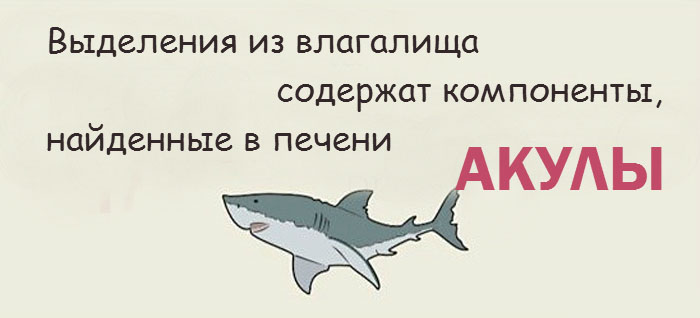 Интересные факты о женской интимной зоне Интересные факты о женской интимной зоне