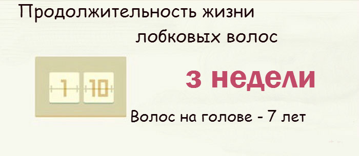 Интересные факты о женской интимной зоне Интересные факты о женской интимной зоне