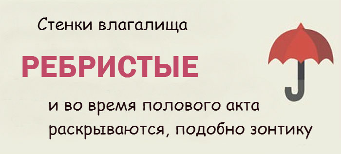 Интересные факты о женской интимной зоне Интересные факты о женской интимной зоне