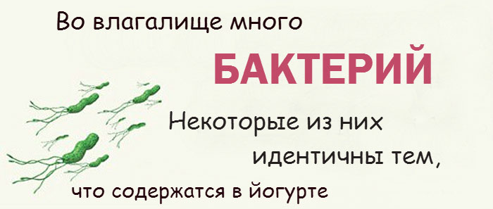Интересные факты о женской интимной зоне Интересные факты о женской интимной зоне