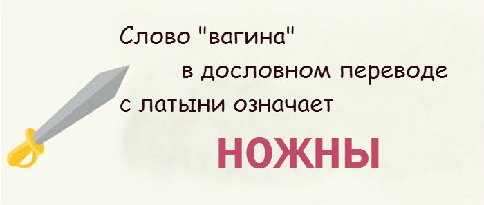 Интересные факты о женской интимной зоне Интересные факты о женской интимной зоне