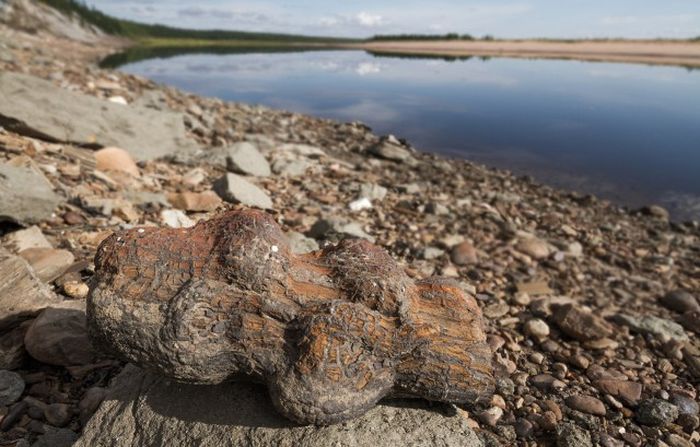 Экскурсия по попигайскому метеоритному кратеру Экскурсия по попигайскому метеоритному кратеру