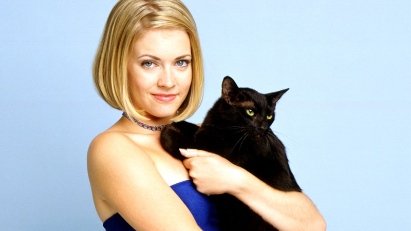Любимые сериалы 90-х – 2000-х годов Любимые сериалы 90-х – 2000-х годов