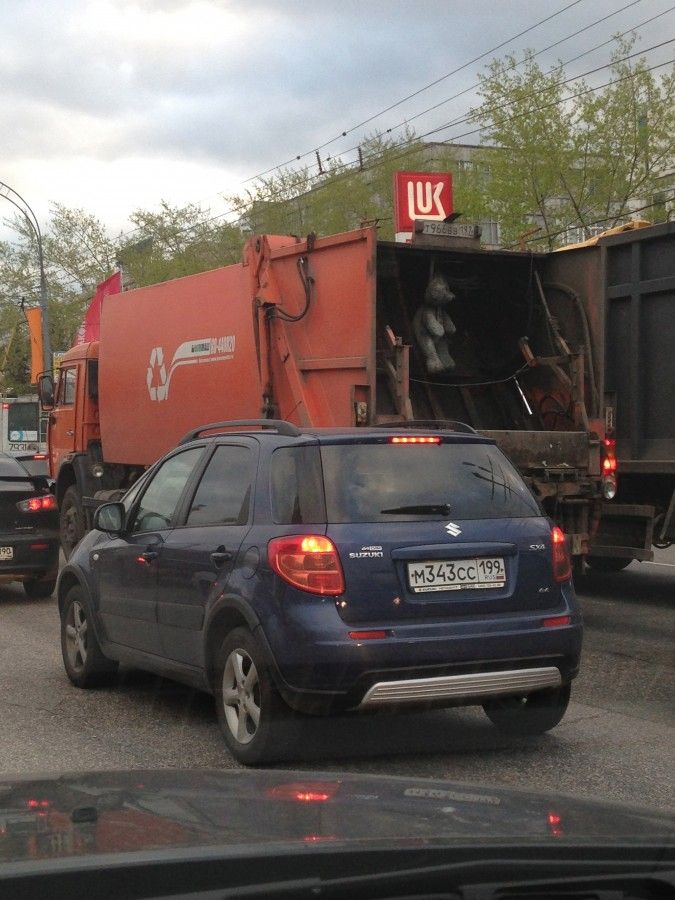 Прикольные картинки
