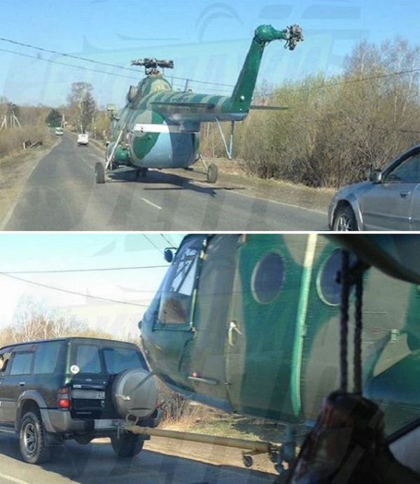 Прикольные картинки