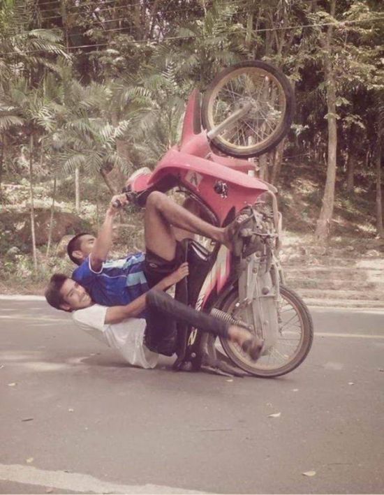 Прикольные картинки