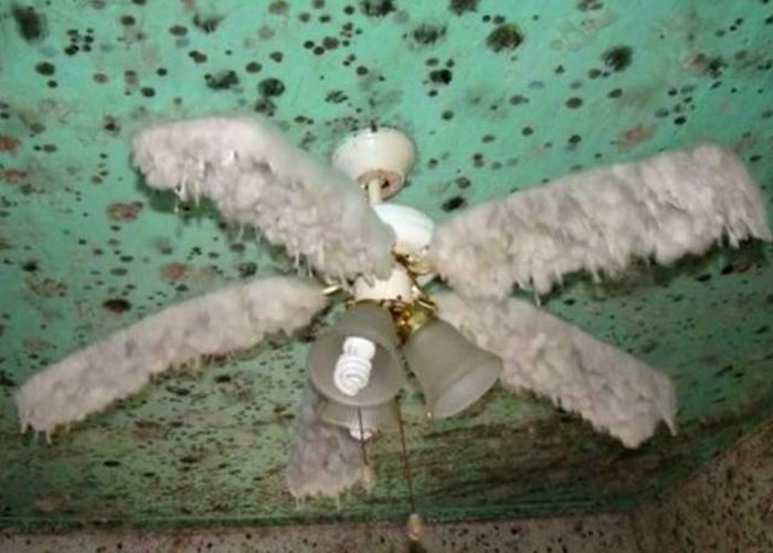 Жуткие фото