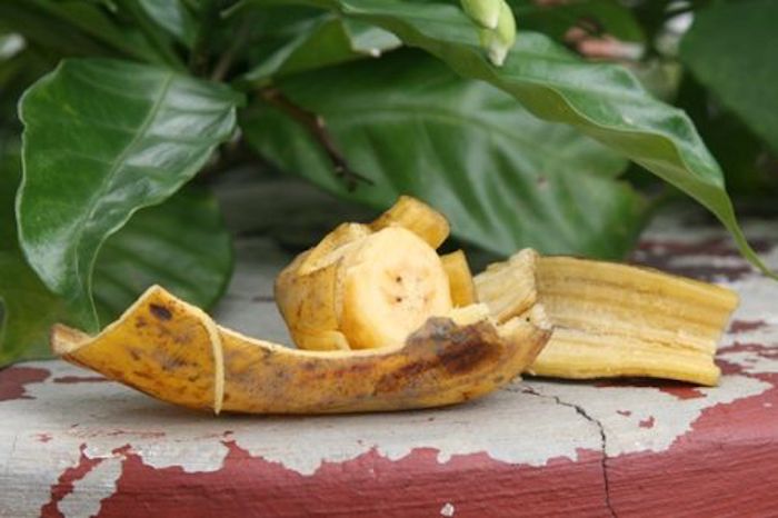 Чем полезны банановые шкурки Чем полезны банановые шкурки