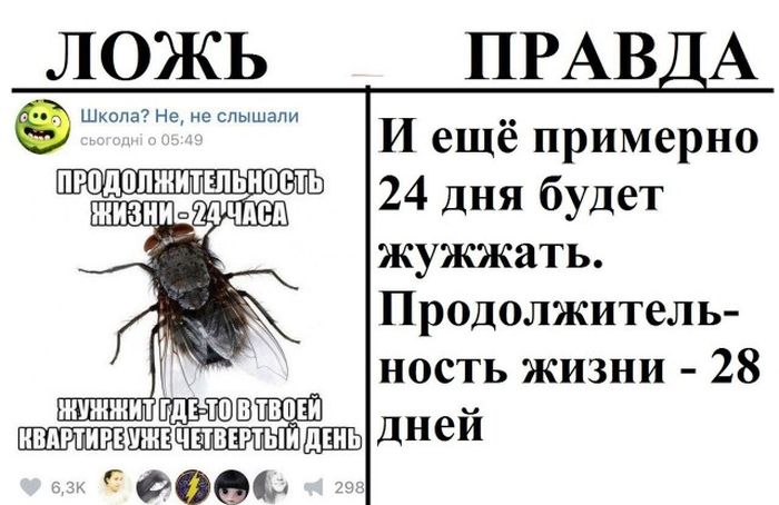 Правда и ложь в популярных пабликах «ВК»