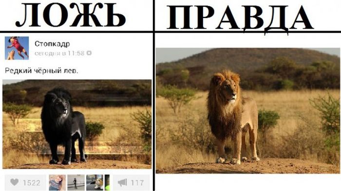 Правда и ложь в популярных пабликах «ВК»