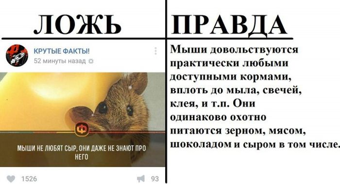 Правда и ложь в популярных пабликах «ВК»