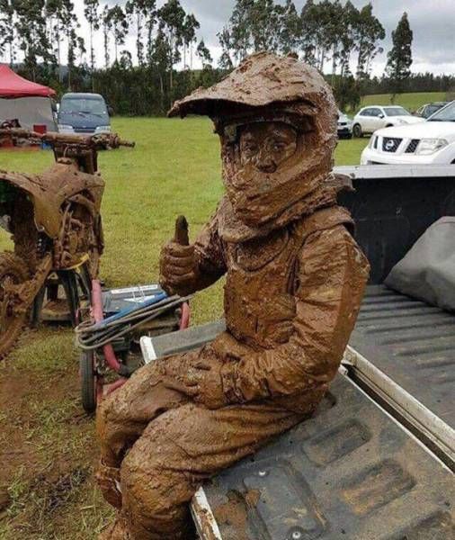 Прикольные картинки