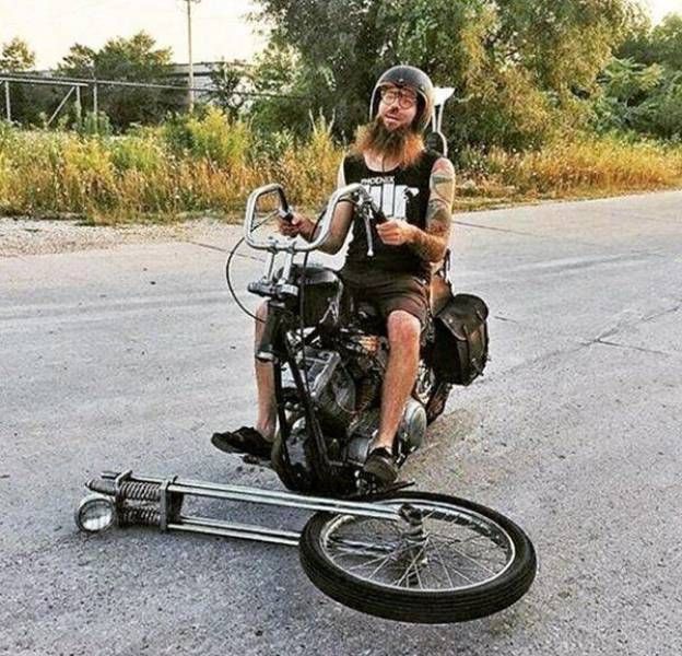 Прикольные картинки