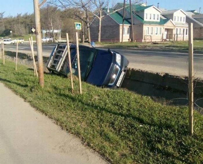 Прикольные картинки