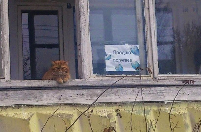 Душевный копирайтинг от народа Душевный копирайтинг от народа