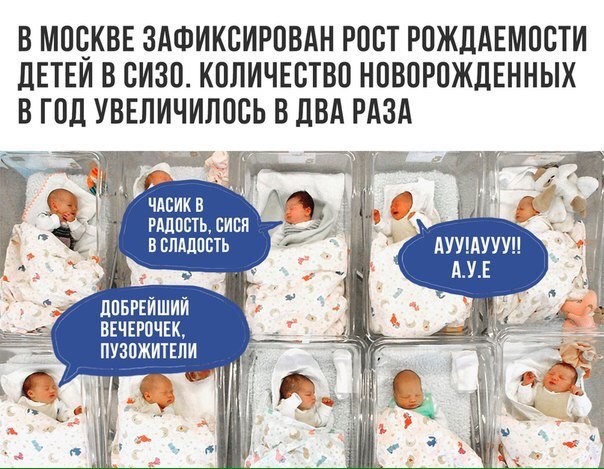 Век воли не видать: что скрывают закрытые тюремные группы в соцсетях Век воли не видать: что скрывают закрытые тюремные группы в соцсетях