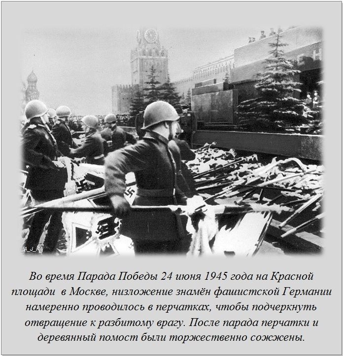 Факты в картинках