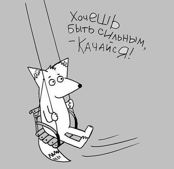 Порция картинок