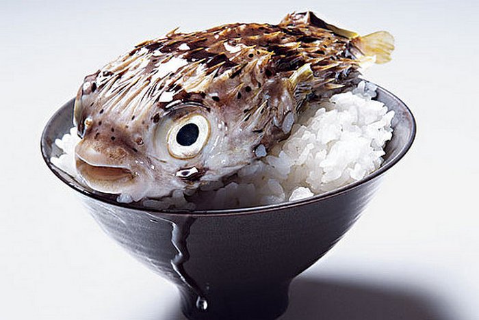 24 самых «вкусных» факта о суши, о которых не слышали даже почитатели японской кухни 24 самых «вкусных» факта о суши, о которых не слышали даже почитатели японской кухни