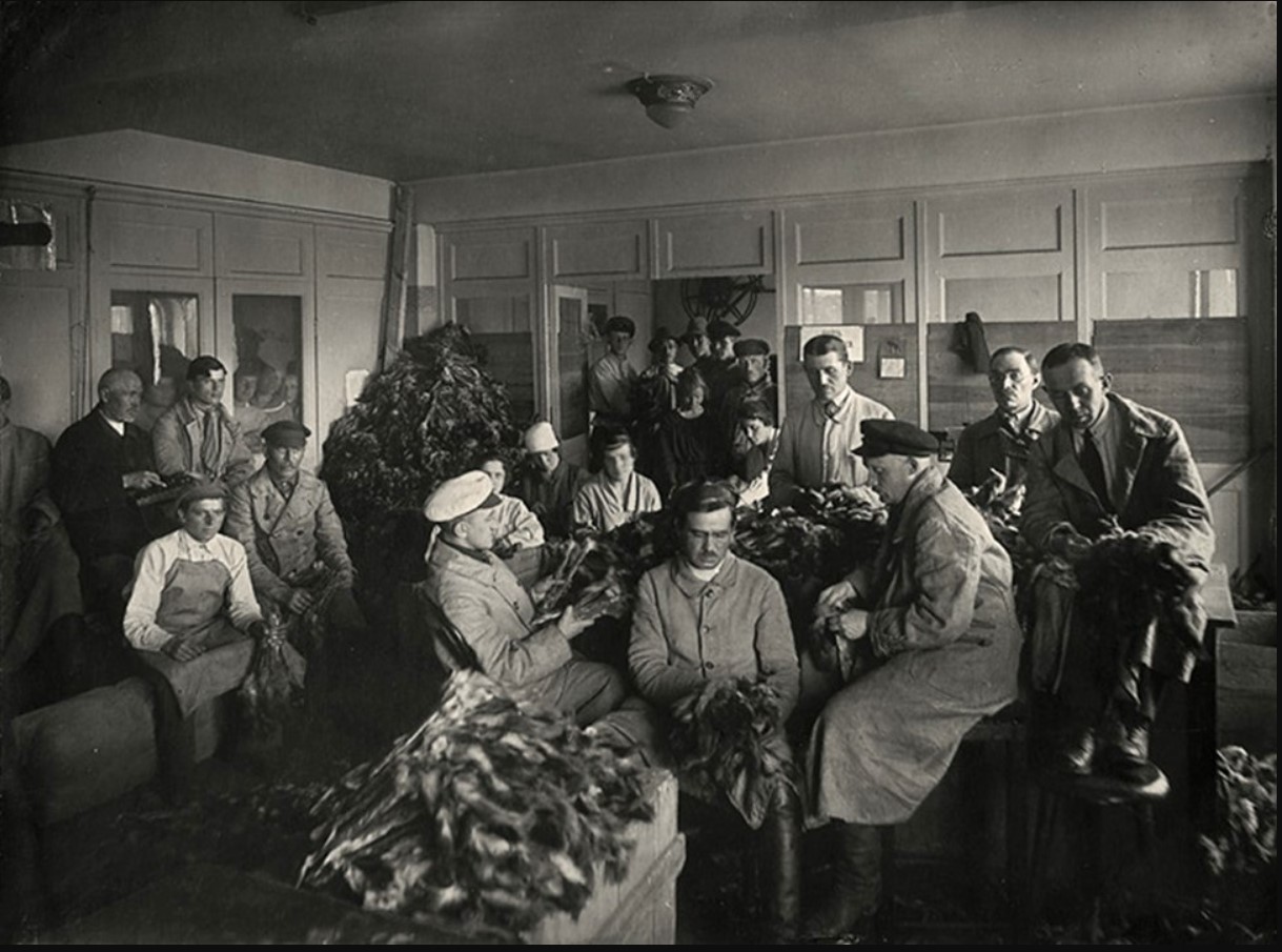 Исторические кадры Петрограда в 1921-1923 годах Исторические кадры Петрограда в 1921-1923 годах