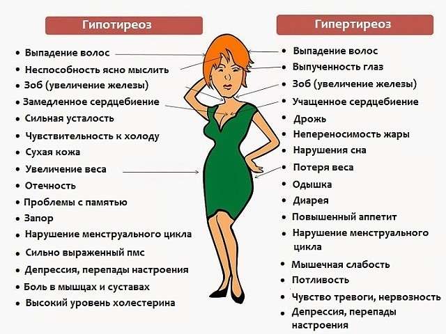 Перезапуск функциональности щитовидной железы и сжигание жира Перезапуск функциональности щитовидной железы и сжигание жира