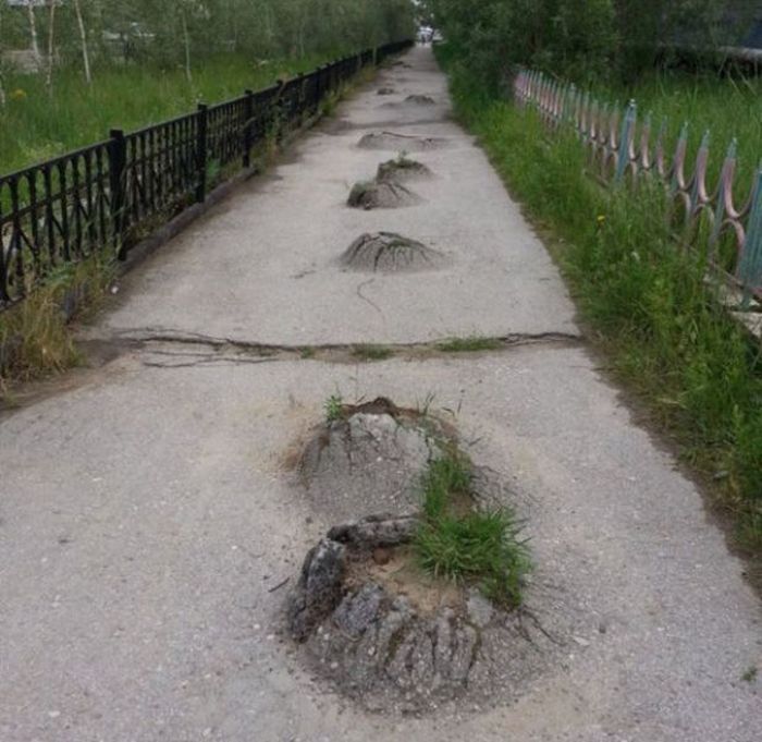 Только в России