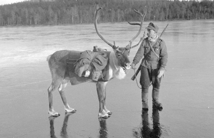 Подборка редких фотографий со всего мира Подборка редких фотографий со всего мира