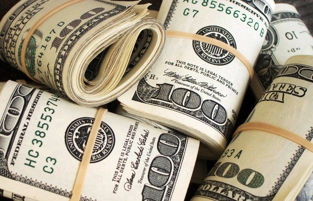 Интересные факты про собачьи бои Интересные факты про собачьи бои