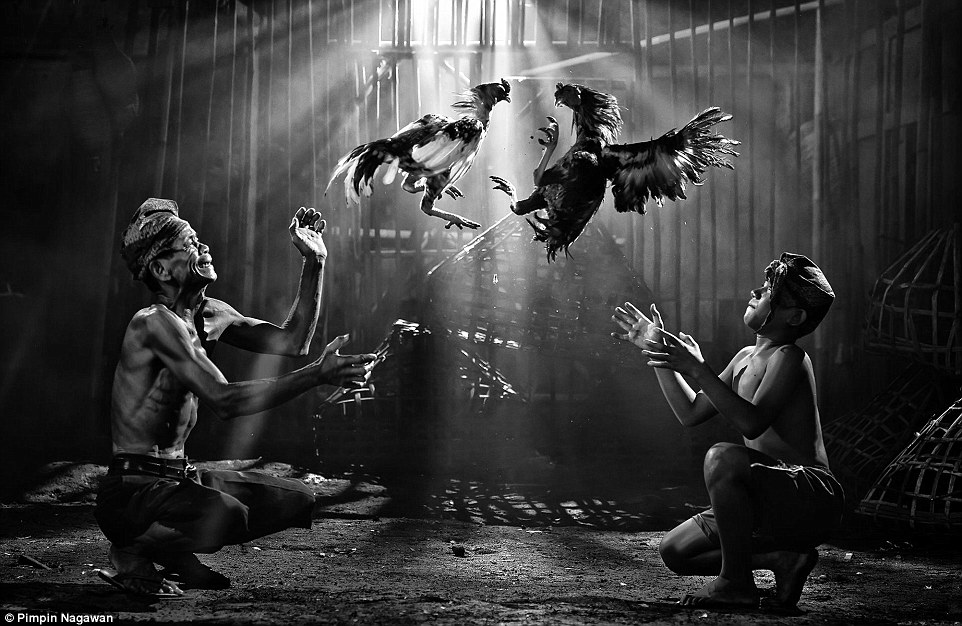 Победители фотоконкурса Siena International Photo Awards Победители фотоконкурса Siena International Photo Awards