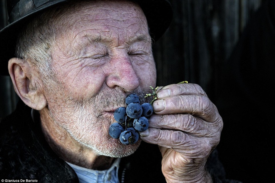 Победители фотоконкурса Siena International Photo Awards Победители фотоконкурса Siena International Photo Awards