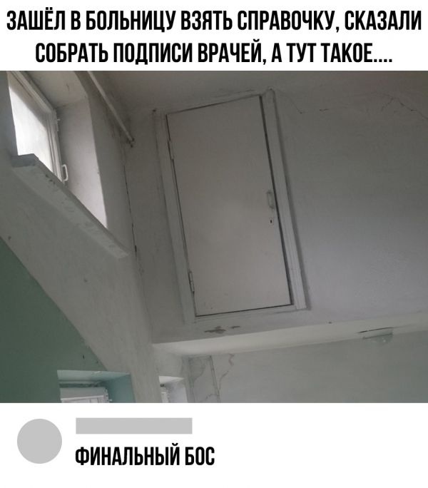 Юмор из социальных сетей