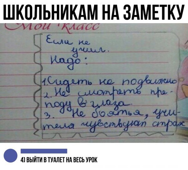 Юмор из социальных сетей