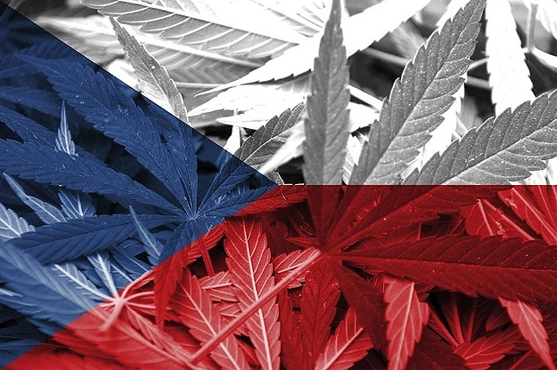 25 стран, в которых легче всего забить косячок 25 стран, в которых легче всего забить косячок