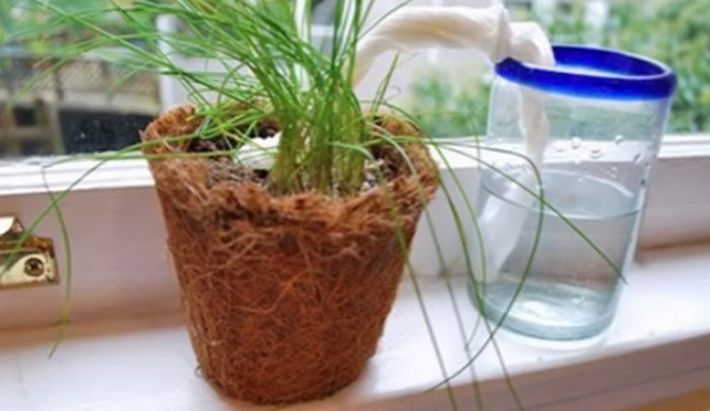 Любопытные факты из курса физики, которые помогут в быту Любопытные факты из курса физики, которые помогут в быту
